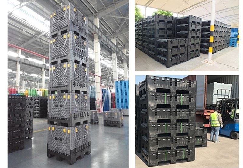 product-800-555 56